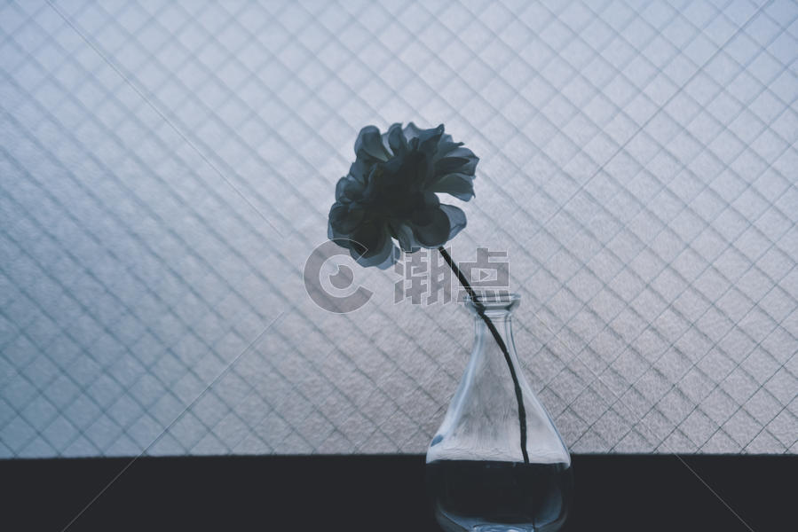 窗台简约花瓶花朵图片素材免费下载
