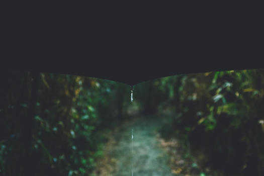 林中雨图片素材免费下载