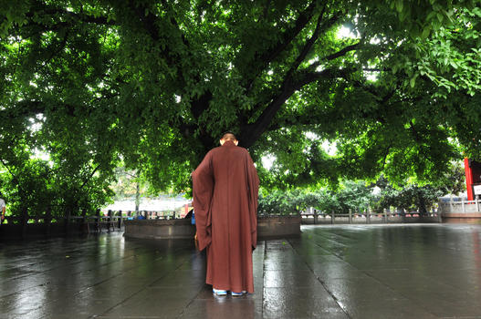 古寺庙内佛教僧人在茂盛的树下沉思图片素材免费下载