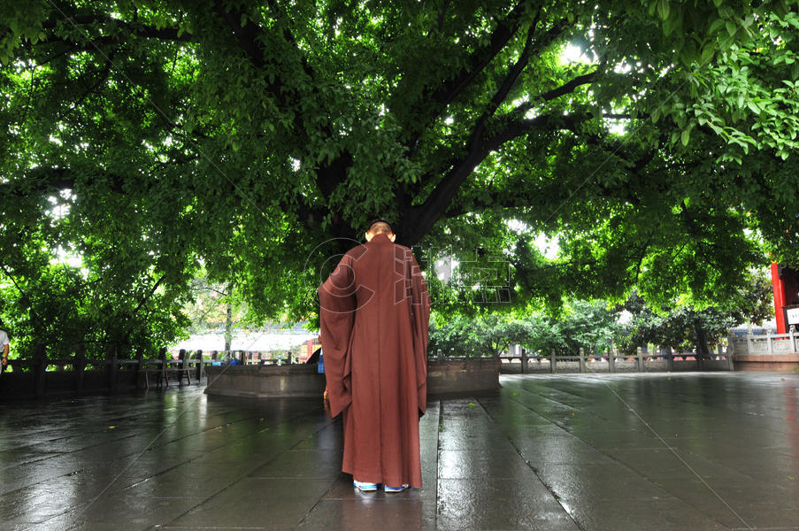 古寺庙内佛教僧人在茂盛的树下沉思图片素材免费下载
