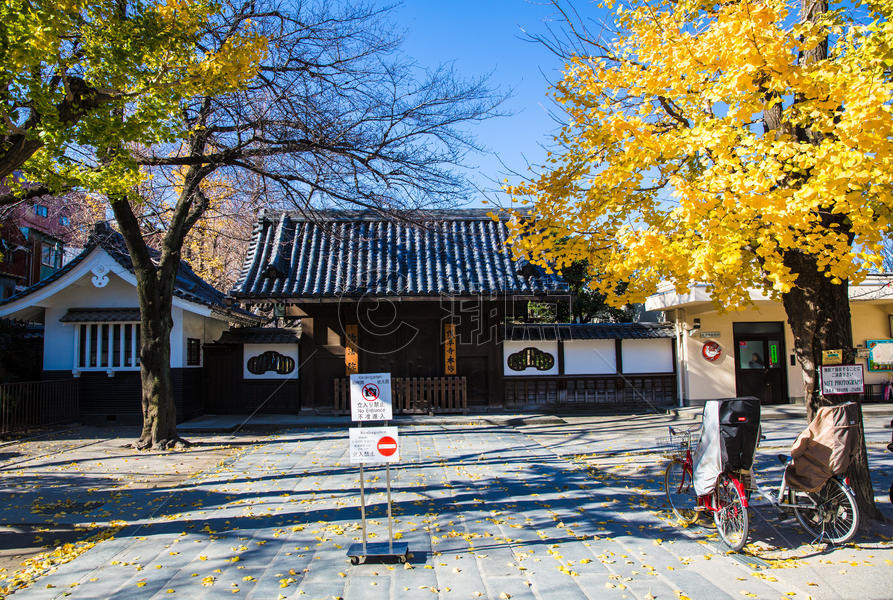 日式庭院秋景图片素材免费下载