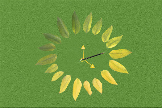 绿色树叶环保时钟图片素材免费下载