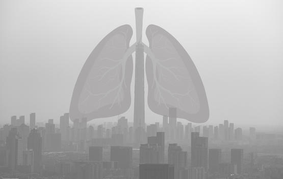 雾霾中的肺图片素材免费下载