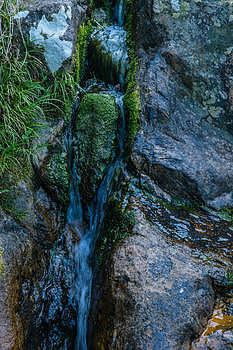 清新自然小溪水流风景图片素材免费下载