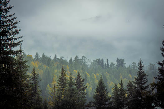 雨雾弥漫的天空图片素材免费下载