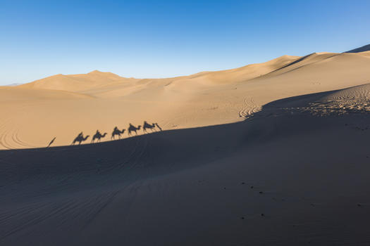 沙漠驼队图片素材免费下载
