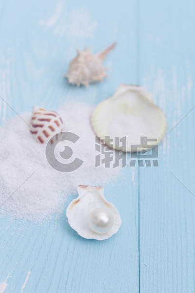 夏日沙滩珍珠贝壳海螺素材图片素材免费下载