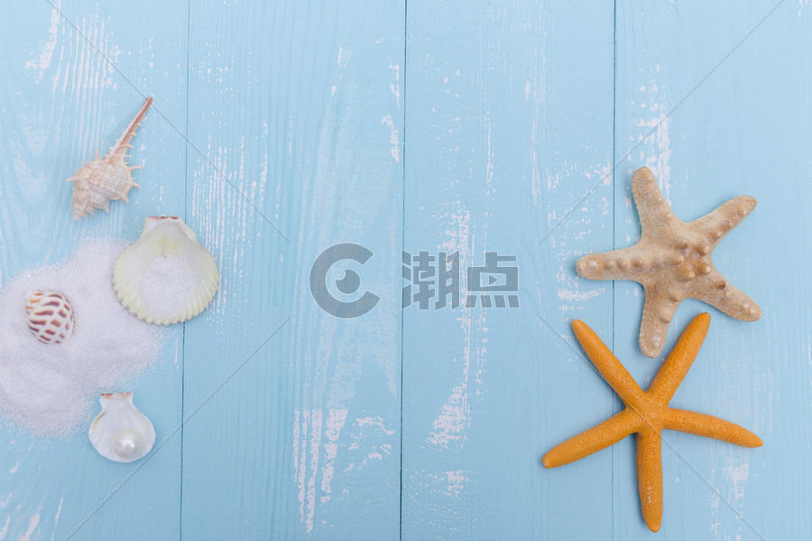 夏日沙滩珍珠贝壳海星素材图片素材免费下载