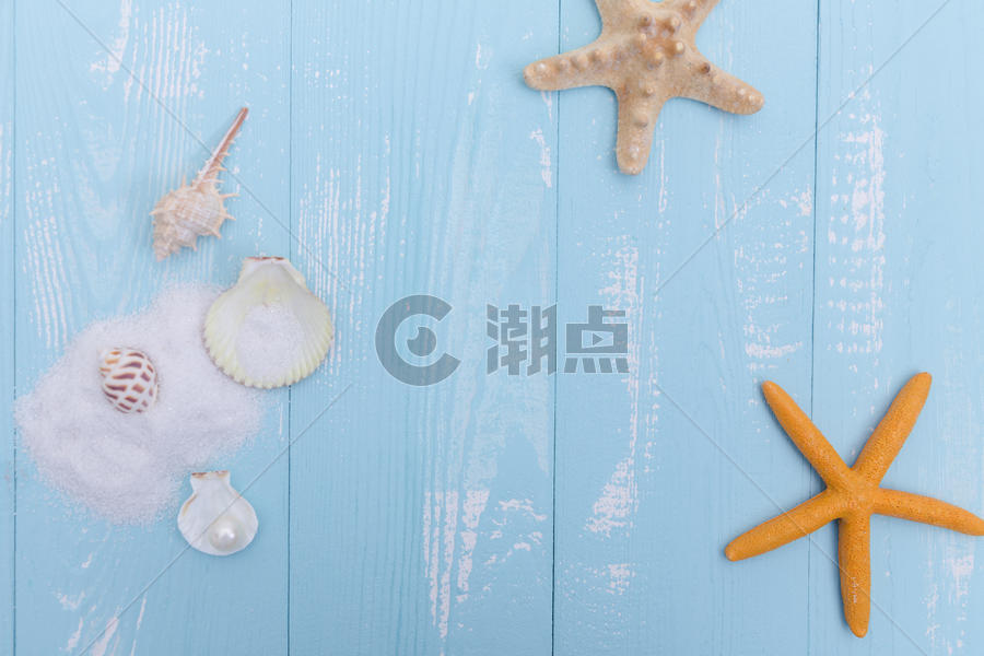 夏日沙滩珍珠贝壳海星素材图片素材免费下载