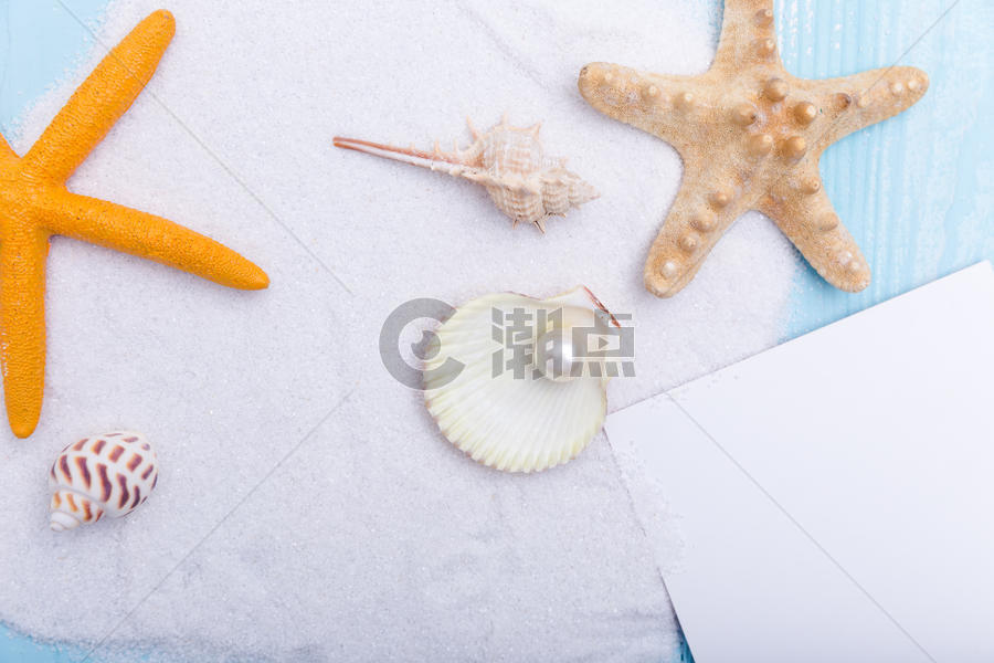 夏日沙滩海星珍珠名信片素材图片素材免费下载