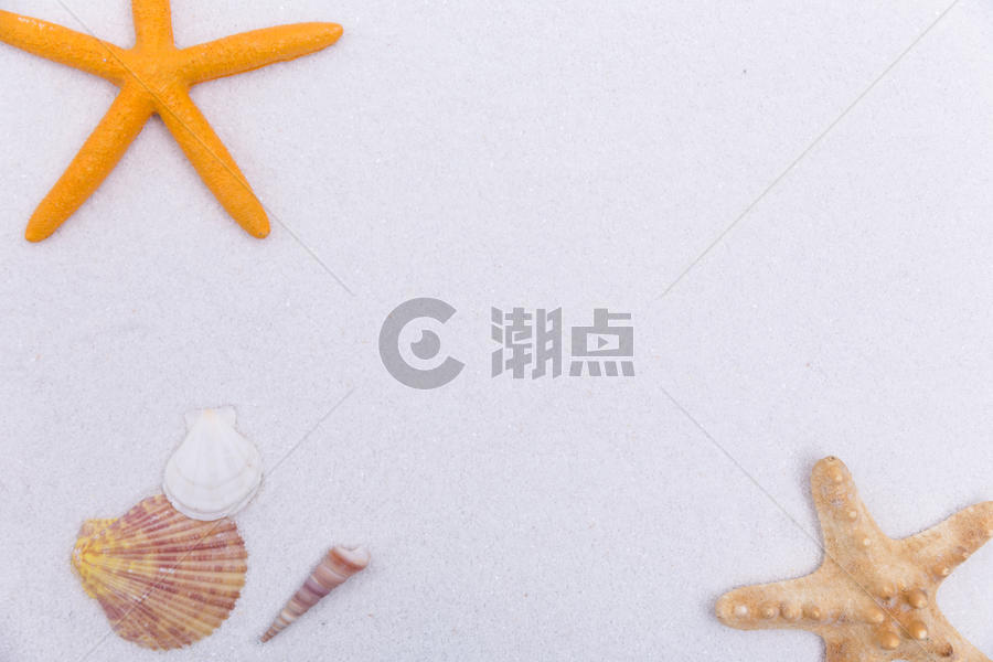 夏日海滩白沙海螺海星素材图片素材免费下载