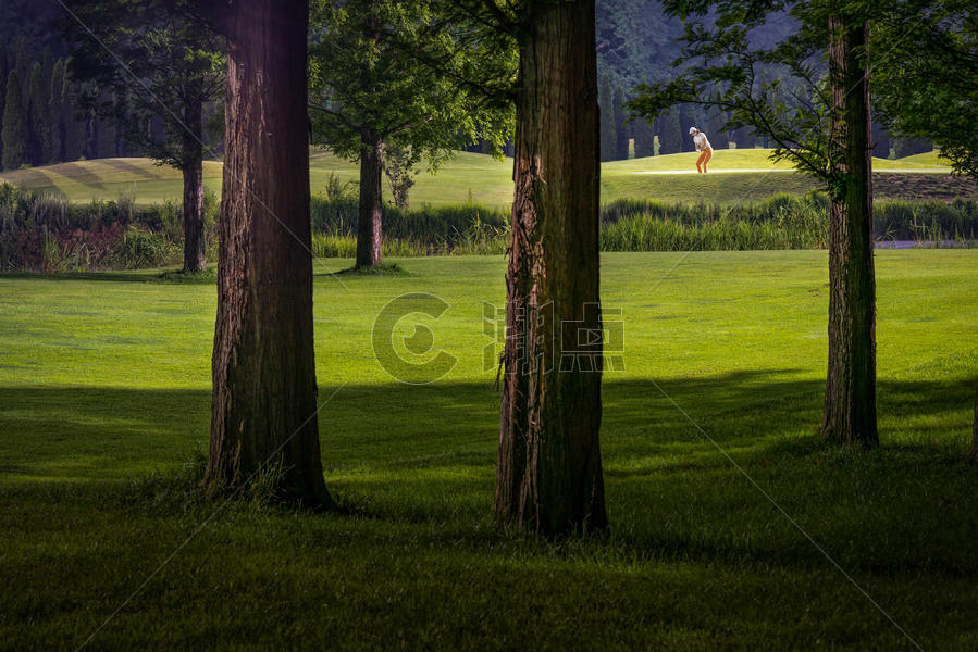 高尔夫球场夜景图片素材免费下载