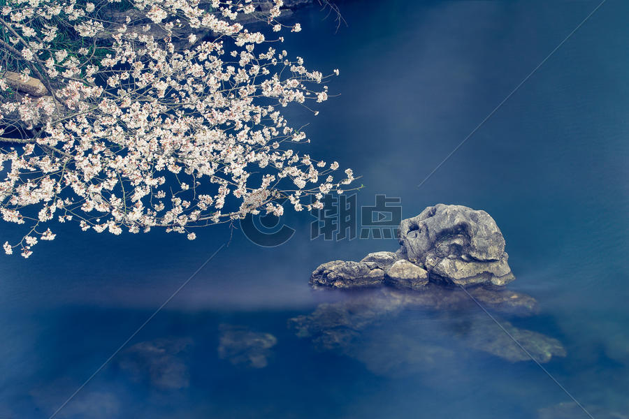 太子湾的樱花季图片素材免费下载