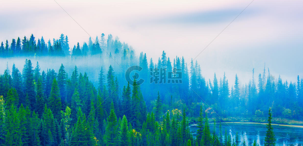 森林晨雾图片素材免费下载