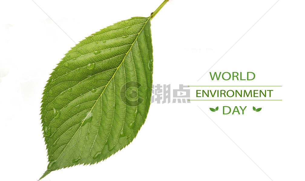 世界环境日设计图片素材免费下载