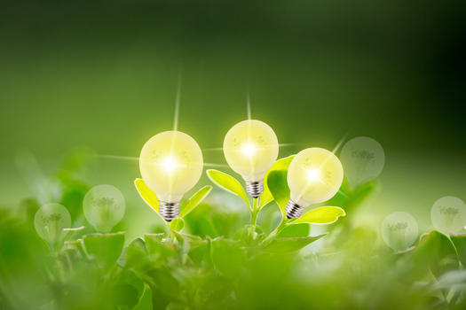 植物灯泡创意图图片素材免费下载