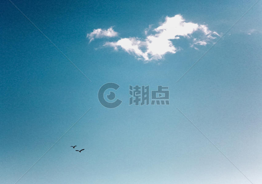 仰望天空云与飞鸟图片素材免费下载
