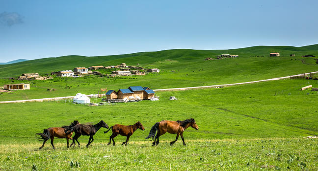 策马崩腾的夏季新疆大草原图片素材免费下载