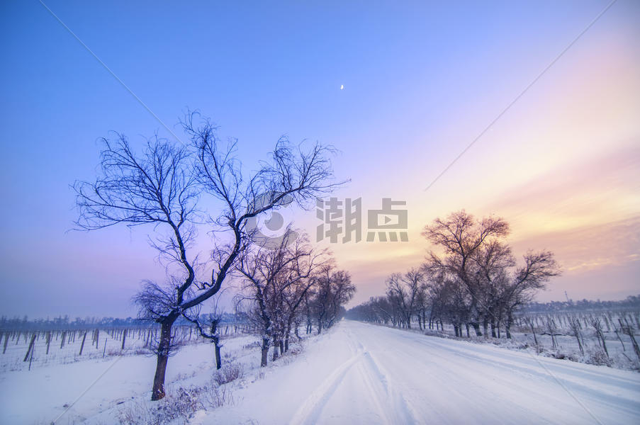 冬季枯树雪晚霞图片素材免费下载
