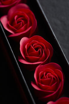 放在盒子里的玫瑰花图片素材免费下载