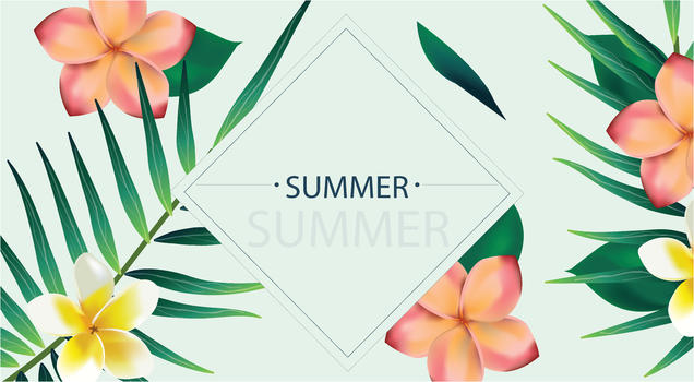 夏天植物花卉背景图片素材免费下载