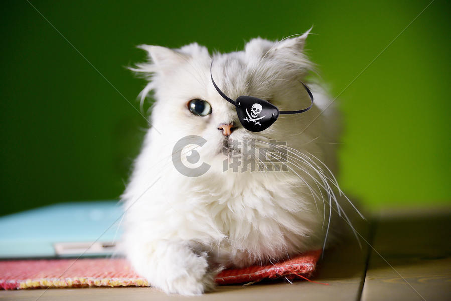 海盗船长猫人图片素材免费下载