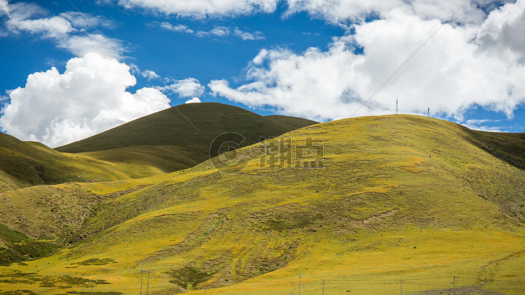 西藏蓝天下的草地图片素材免费下载