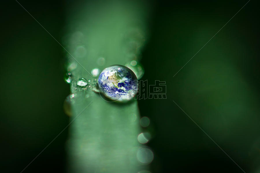 荷叶上的地球水滴图片素材免费下载