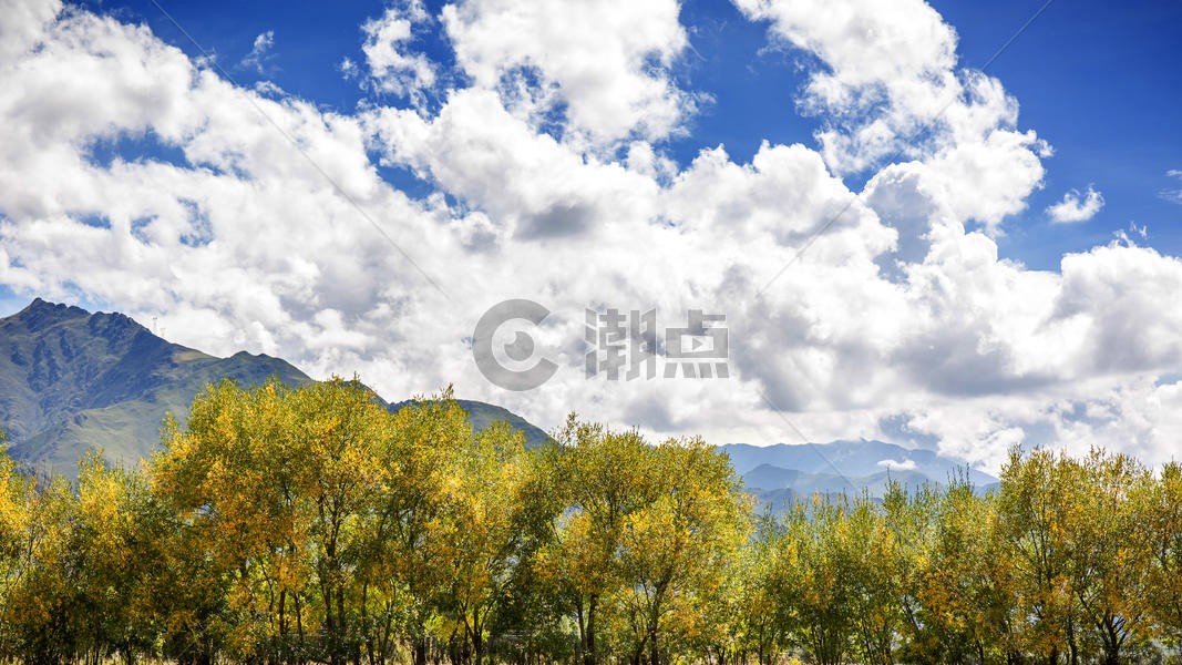 西藏的蓝天白云和草地图片素材免费下载