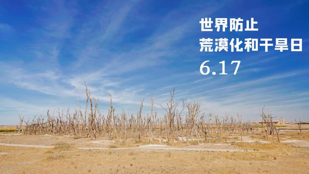 世界防治荒漠化和干旱日图片素材免费下载