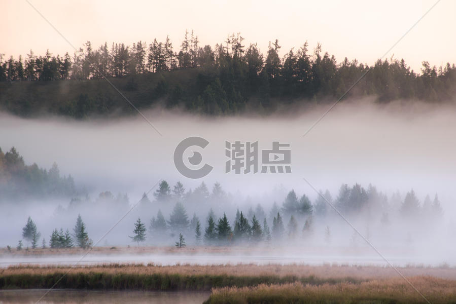 森林朦胧晨雾图片素材免费下载