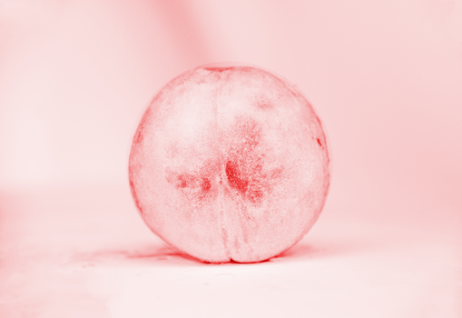 早晨桌布上的粉色桃子图片素材免费下载