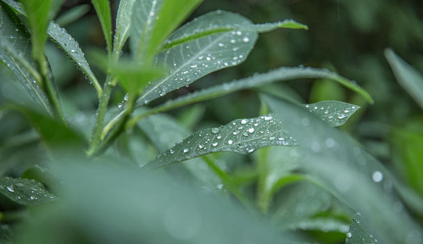 雨季图片素材免费下载
