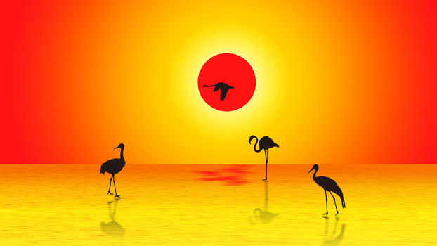 夕阳下的鹤图片素材免费下载