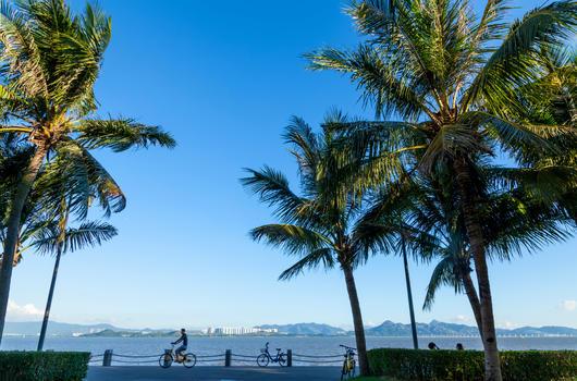 蓝天大海棕榈树热带风情图片素材免费下载
