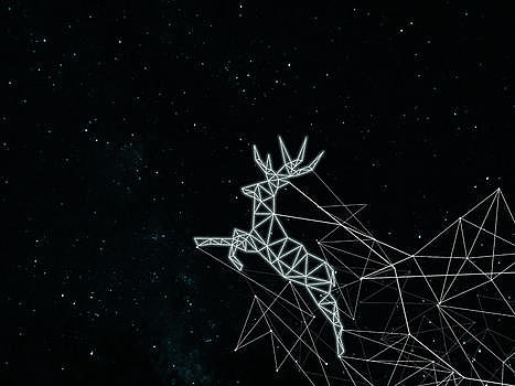 星光下的鹿图片素材免费下载