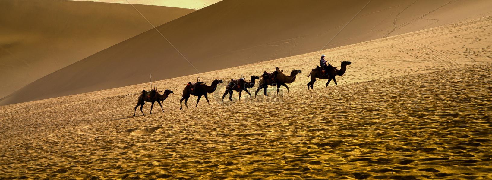 沙漠驼铃图片素材免费下载