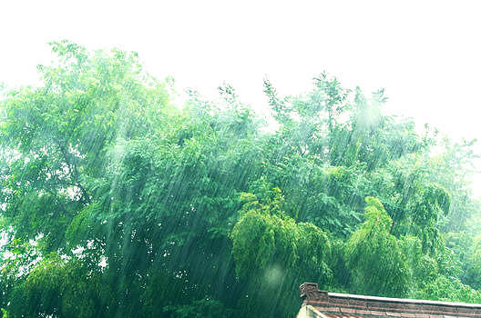 夏天午后的暴雨图片素材免费下载