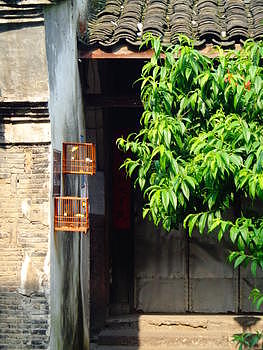 古镇的鸟笼与树木图片素材免费下载