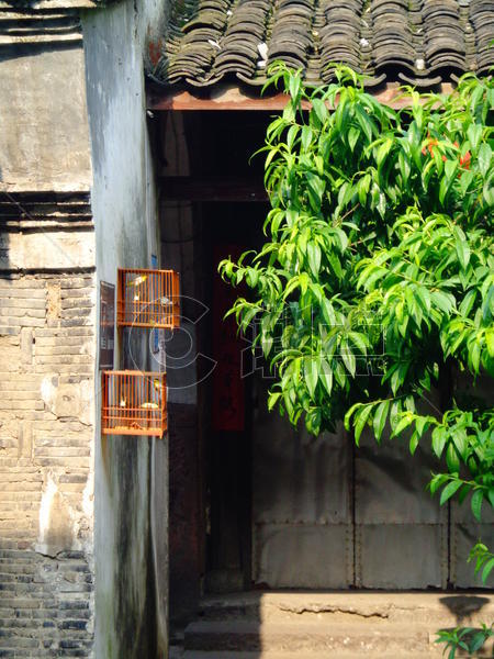 古镇的鸟笼与树木图片素材免费下载