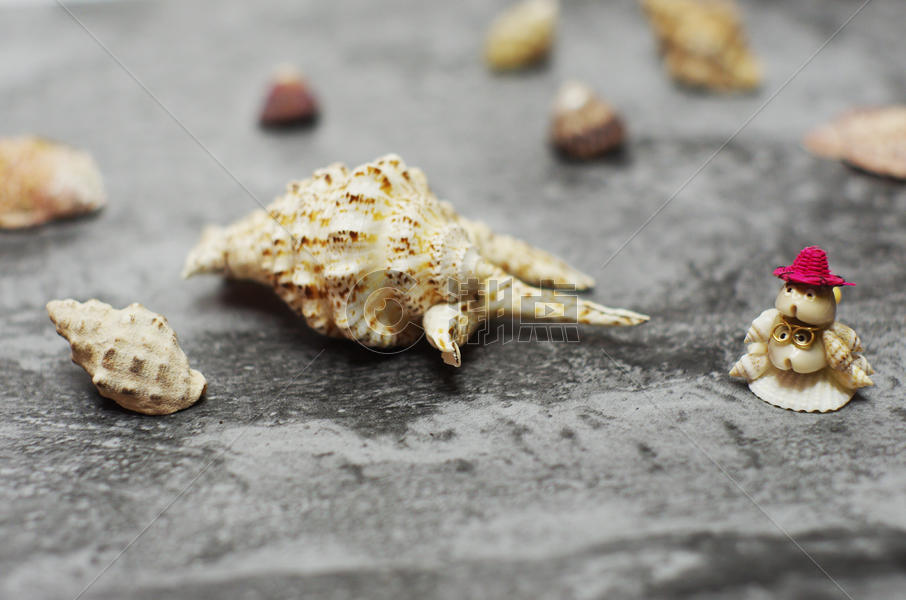 海螺与贝壳图片素材免费下载