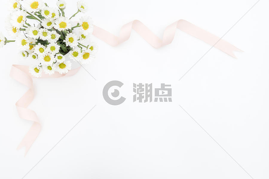 雏菊菊花丝带背景留白素材图片素材免费下载