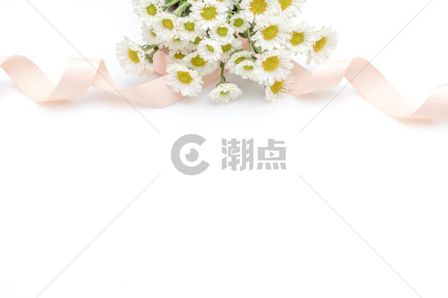 雏菊菊花丝带背景素材图片素材免费下载