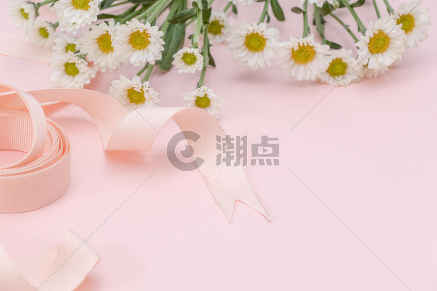 粉色雏菊丝带背景元素留白图片素材免费下载