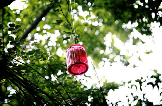 吊在树上的彩色瓶子图片素材免费下载