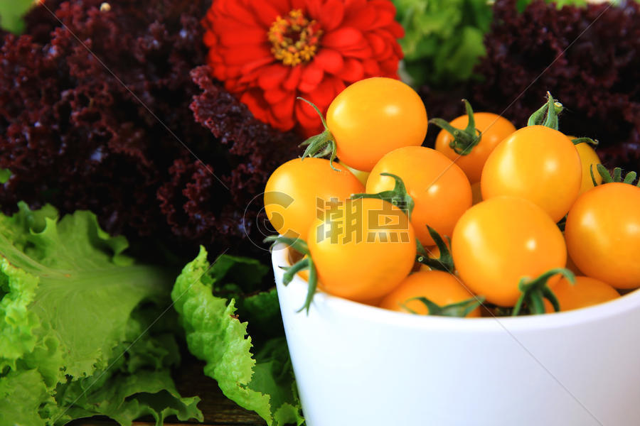 蔬菜水果及花卉图片素材免费下载