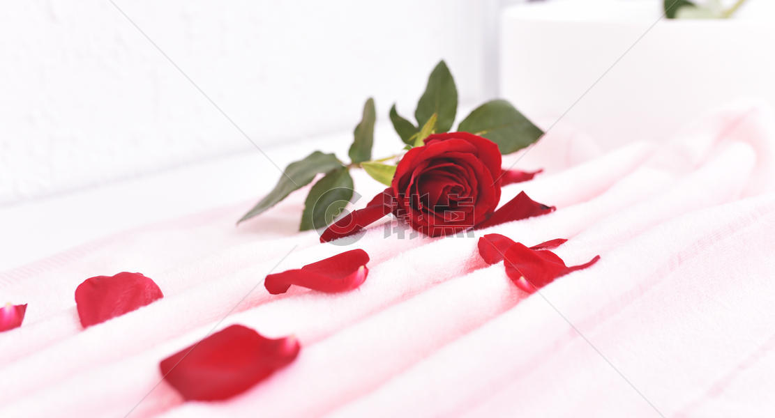 红玫瑰素材图片素材免费下载