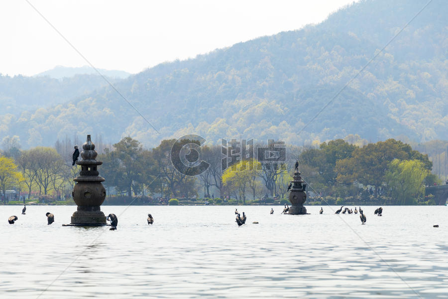 三潭映月杭州西湖风景图片素材免费下载