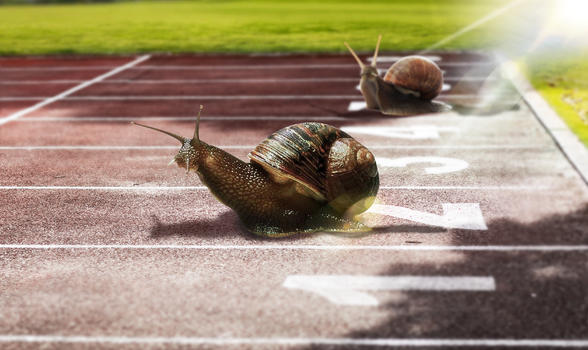 跑道上的蜗牛图片素材免费下载