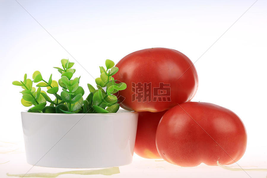 水果玉米和西红柿图片素材免费下载